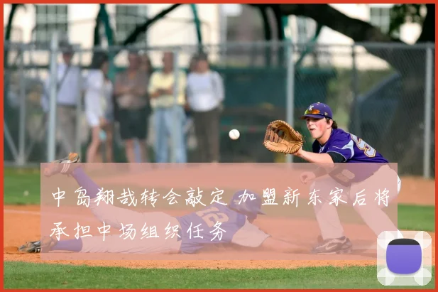 中岛翔哉转会敲定 加盟新东家后将承担中场组织任务